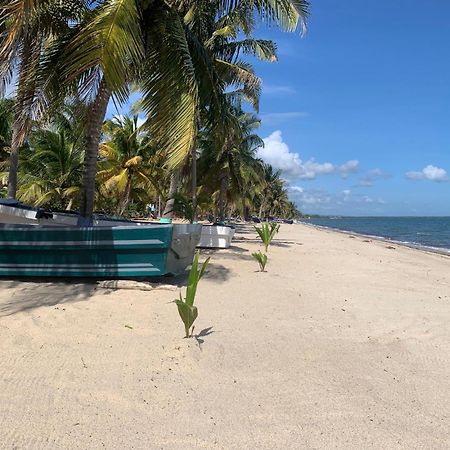 All Seasons Belize ホプキンズ エクステリア 写真