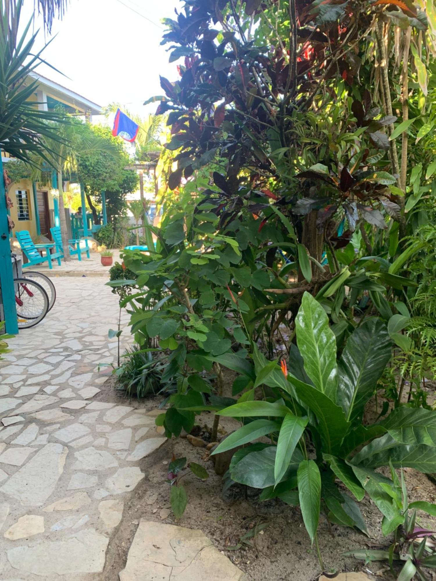 All Seasons Belize ホプキンズ エクステリア 写真